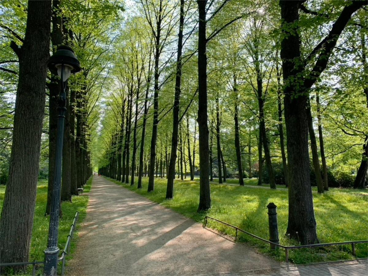 Ferienwohnung Am Suedwall All Inclusive Celle Zewnętrze zdjęcie